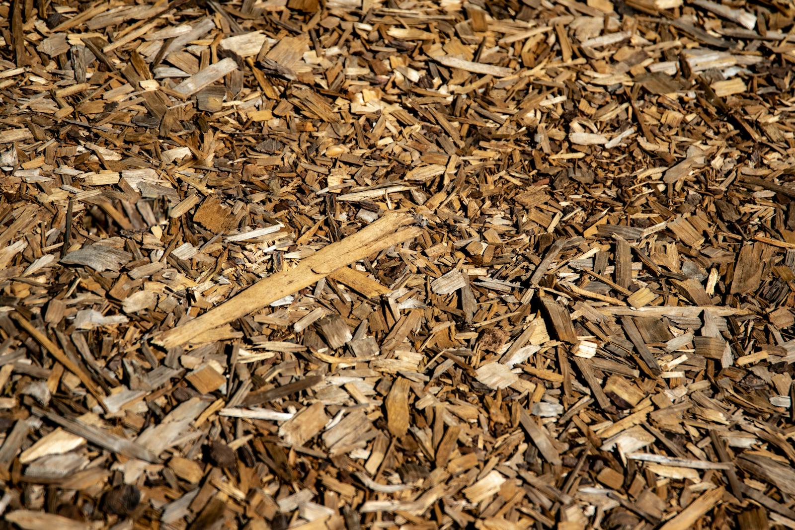 Fresh brown bark mulch spread to consistent depth in a residential bed.