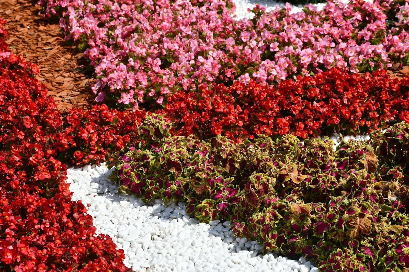 Mulched garden bed with mixed desert and ornamental plants along a residential foundation.